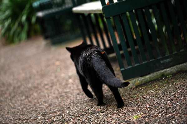 100512 m4 DSC_9586.jpg